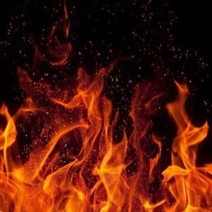 Meet your Posher, Terrie